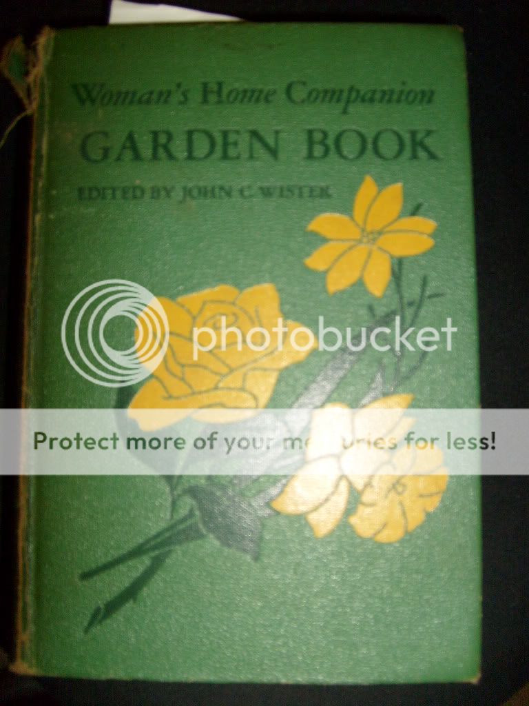 grandma's book
