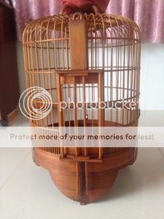 Bán vài cái lồng mi, chào mào