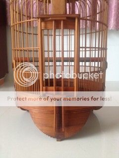 Bán vài cái lồng mi, chào mào - 1