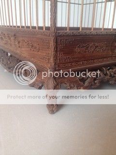 Bán vài cái lồng mi, chào mào - 6