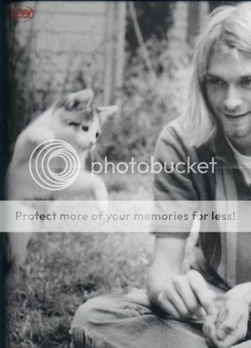 fotos fotos