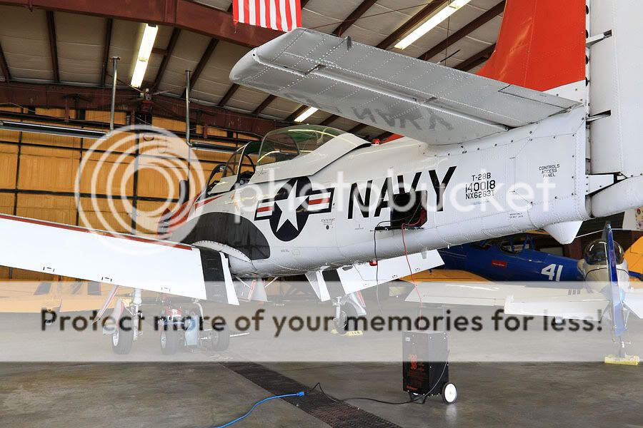 IMAGE: http://i735.photobucket.com/albums/ww357/oldvultureface/IMG_2663.jpg