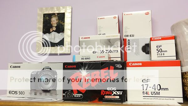 IMAGE: http://i735.photobucket.com/albums/ww357/oldvultureface/IMG_6262.jpg