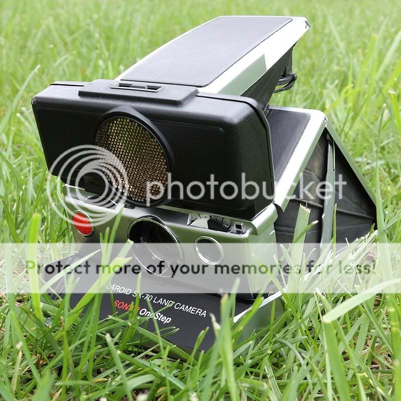 IMAGE: http://i735.photobucket.com/albums/ww357/oldvultureface/IMG_6940.jpg