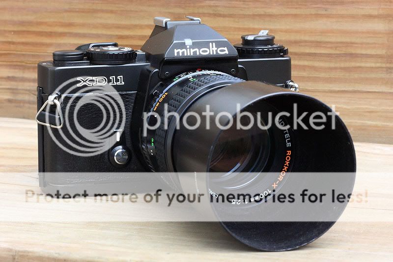 IMAGE: http://i735.photobucket.com/albums/ww357/oldvultureface/IMG_7172.jpg