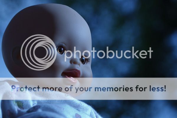 IMAGE: http://i735.photobucket.com/albums/ww357/oldvultureface/POTN/IMG_1343.jpg