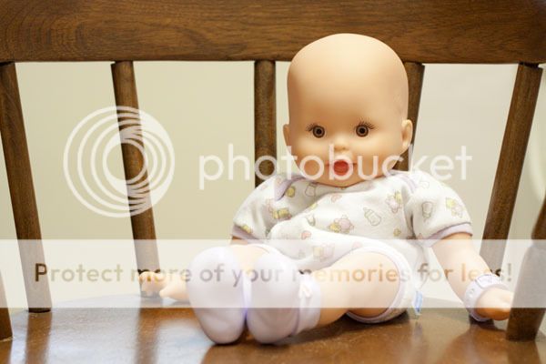 IMAGE: http://i735.photobucket.com/albums/ww357/oldvultureface/POTN/IMG_1515.jpg