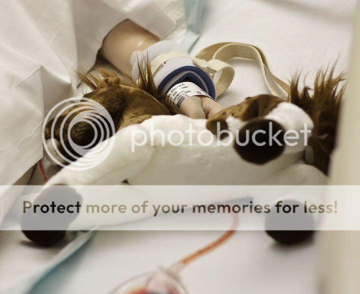 IMAGE: http://i735.photobucket.com/albums/ww357/oldvultureface/POTN/IMG_1983a.jpg