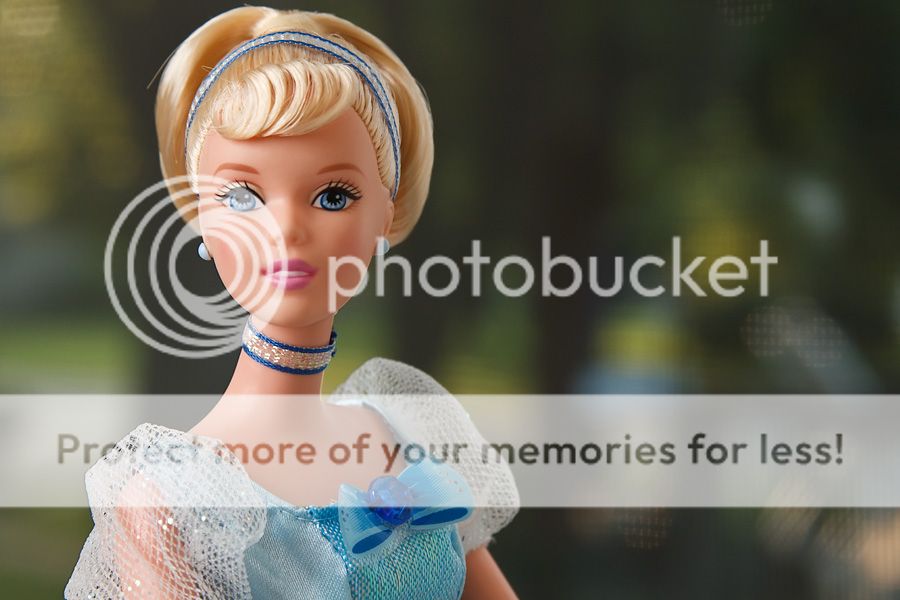 IMAGE: http://i735.photobucket.com/albums/ww357/oldvultureface/POTN/IMG_3653.jpg~original