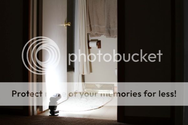 IMAGE: http://i735.photobucket.com/albums/ww357/oldvultureface/POTN/IMG_3682a.jpg~original