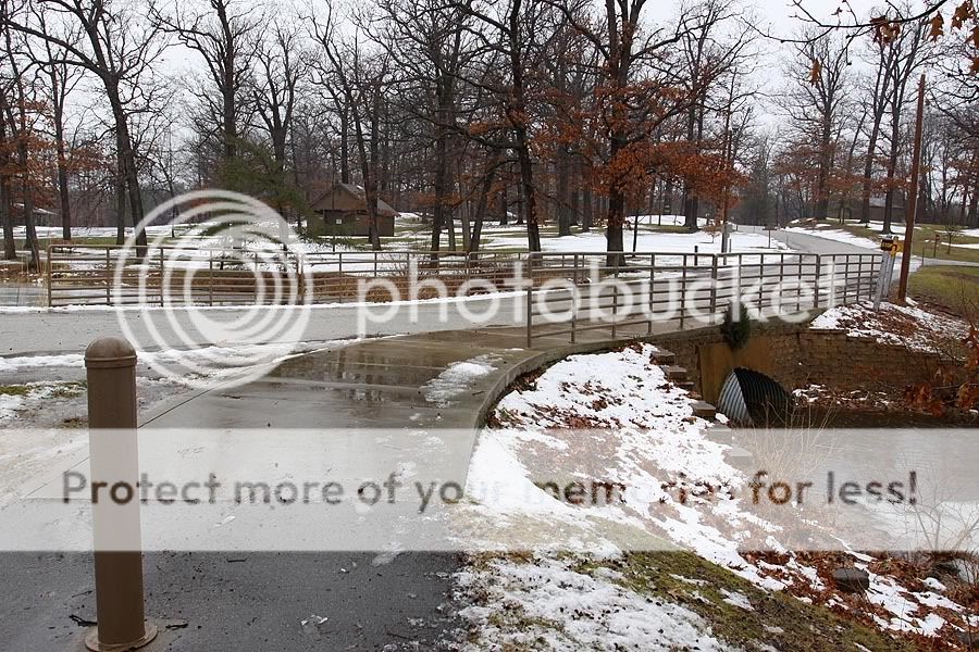 IMAGE: http://i735.photobucket.com/albums/ww357/oldvultureface/POTN/IMG_5659.jpg