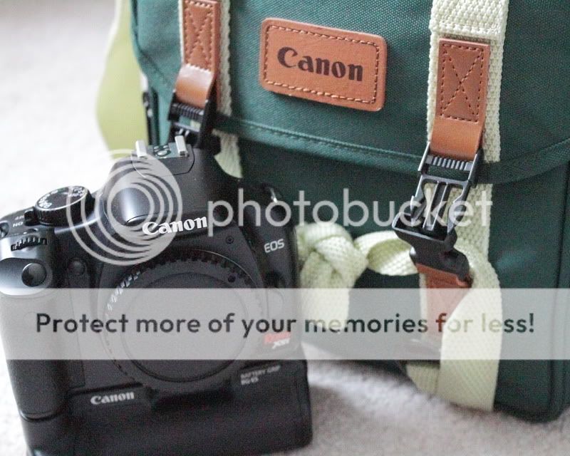 IMAGE: http://i735.photobucket.com/albums/ww357/oldvultureface/POTN/IMG_6033.jpg