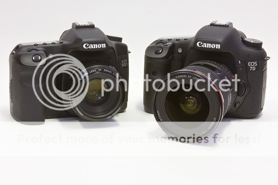 IMAGE: http://i735.photobucket.com/albums/ww357/oldvultureface/POTN/IMG_8447.jpg