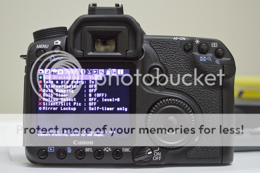 IMAGE: http://i735.photobucket.com/albums/ww357/oldvultureface/POTN/IMG_8622.jpg