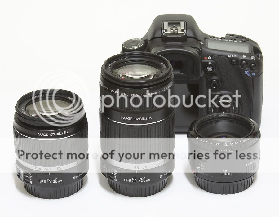 IMAGE: http://i735.photobucket.com/albums/ww357/oldvultureface/POTN/IMG_9088.jpg