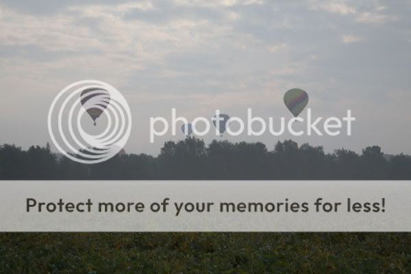 IMAGE: http://i735.photobucket.com/albums/ww357/oldvultureface/POTN/IMG_9179.jpg