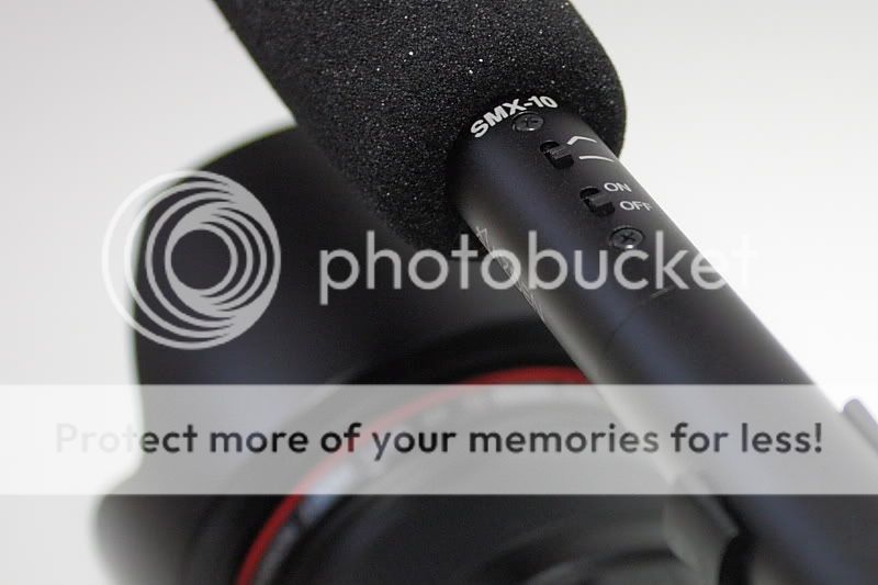 IMAGE: http://i735.photobucket.com/albums/ww357/oldvultureface/POTN/IMG_9246a.jpg