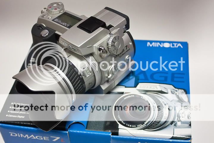 IMAGE: http://i735.photobucket.com/albums/ww357/oldvultureface/POTN/IMG_9291a.jpg