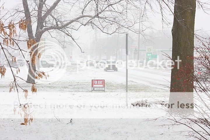 IMAGE: http://i735.photobucket.com/albums/ww357/oldvultureface/POTN/IMG_9479a.jpg