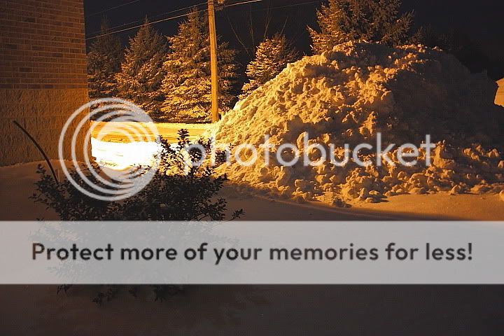 IMAGE: http://i735.photobucket.com/albums/ww357/oldvultureface/POTN/IMG_9495.jpg