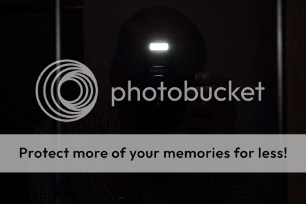 IMAGE: http://i735.photobucket.com/albums/ww357/oldvultureface/POTN/IMG_9586.jpg