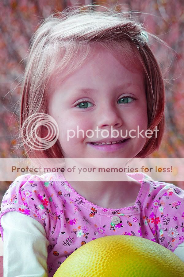 IMAGE: http://i735.photobucket.com/albums/ww357/oldvultureface/POTN/IMG_986156.jpg