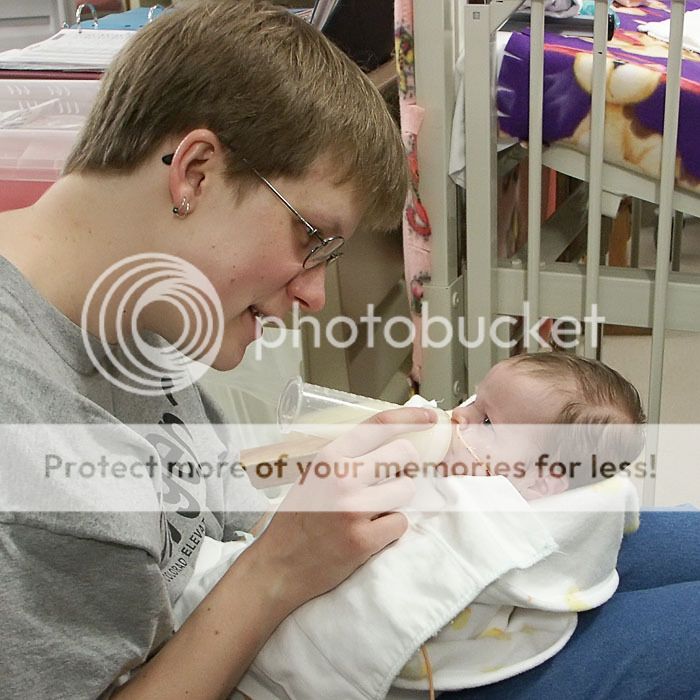 IMAGE: http://i735.photobucket.com/albums/ww357/oldvultureface/POTN/PICT2275a.jpg