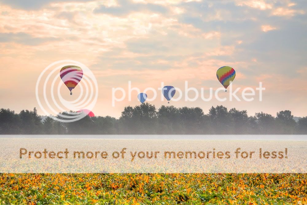 IMAGE: http://i735.photobucket.com/albums/ww357/oldvultureface/POTN/several.jpg