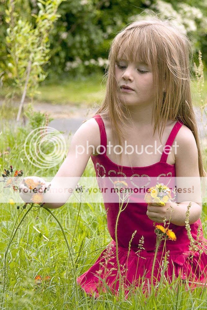 IMAGE: http://i735.photobucket.com/albums/ww357/oldvultureface/POTN/shot2a.jpg