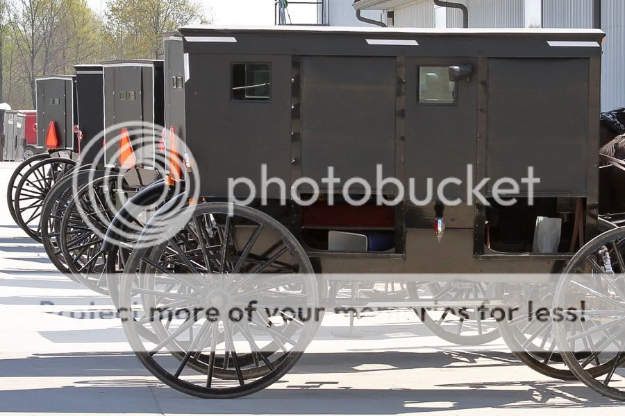 IMAGE: http://i735.photobucket.com/albums/ww357/oldvultureface/Shiipshewana2010/IMG_3313.jpg