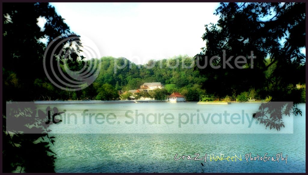 a.jpg